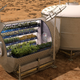 Ilustración para el artículo titulado La lechuga cosechada en el espacio es igual de nutritiva que la lechuga terrícola, según la NASA